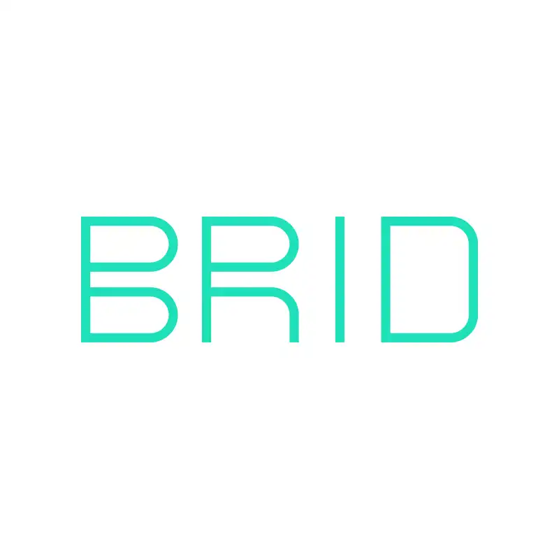 Logo Brid - Fashion Car - Noleggio Breve termine